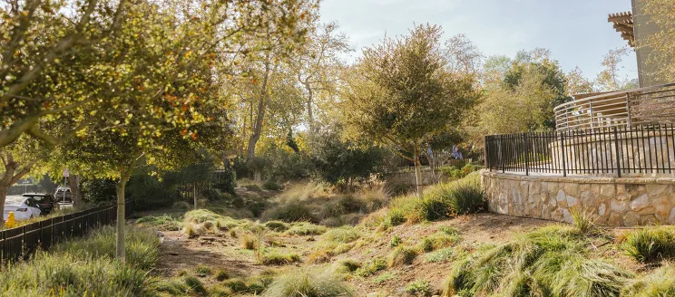Photo of Ridley Tree Center with storm water management approved landscaping