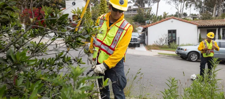 defensible space crew clearing brush.