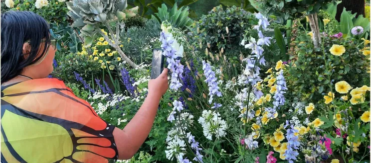Garden outdoor setting, Girl with butterfly wings holding a camera and taking a photo.