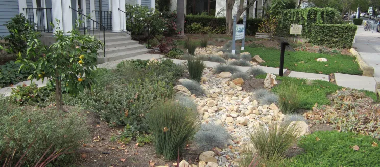 Rain Garden at the Santa Barbara Association of Realtors office