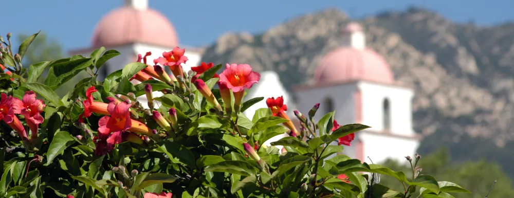 HR - Trumpet Vine and Mission