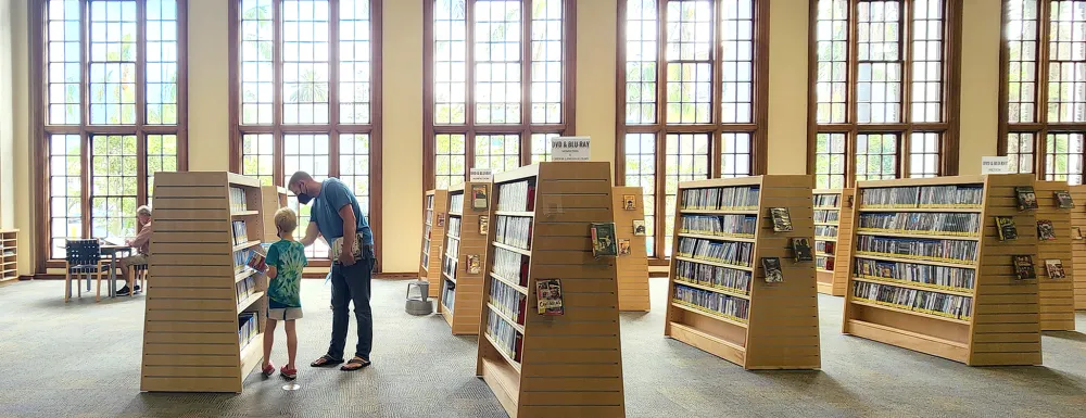 DVD browsing ML
