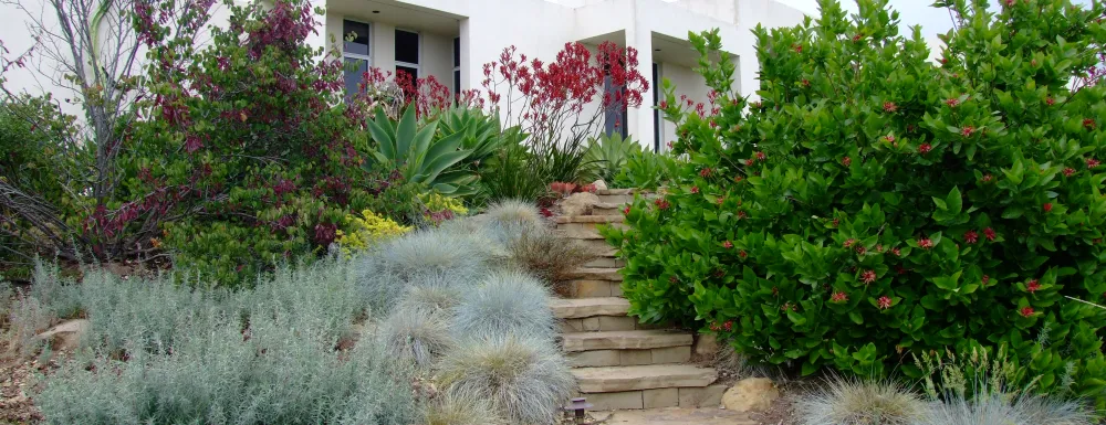 Water Wise Garden Stairs