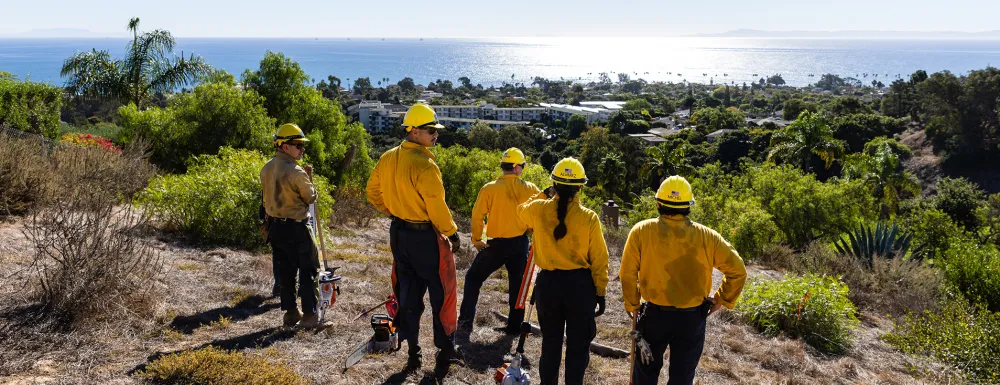 Picture of Vegetation Management-Honda Valley