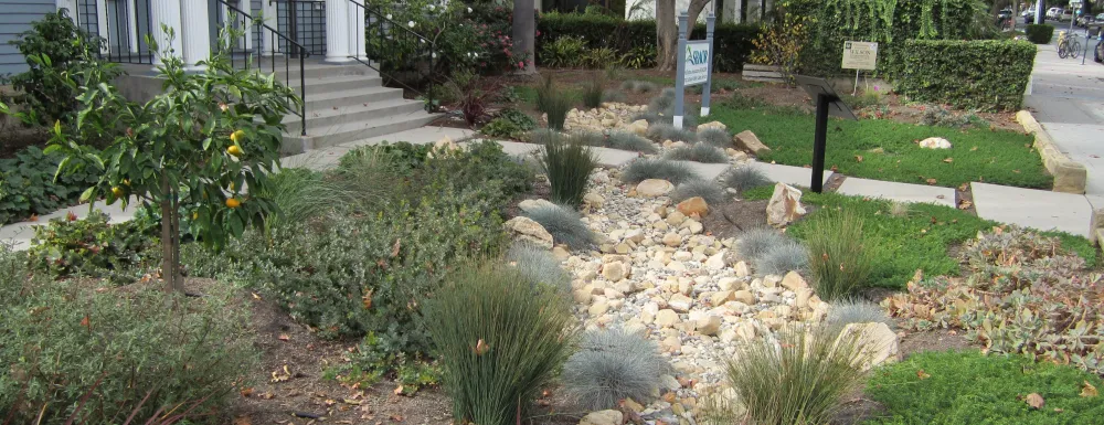 Rain Garden at the Santa Barbara Association of Realtors office