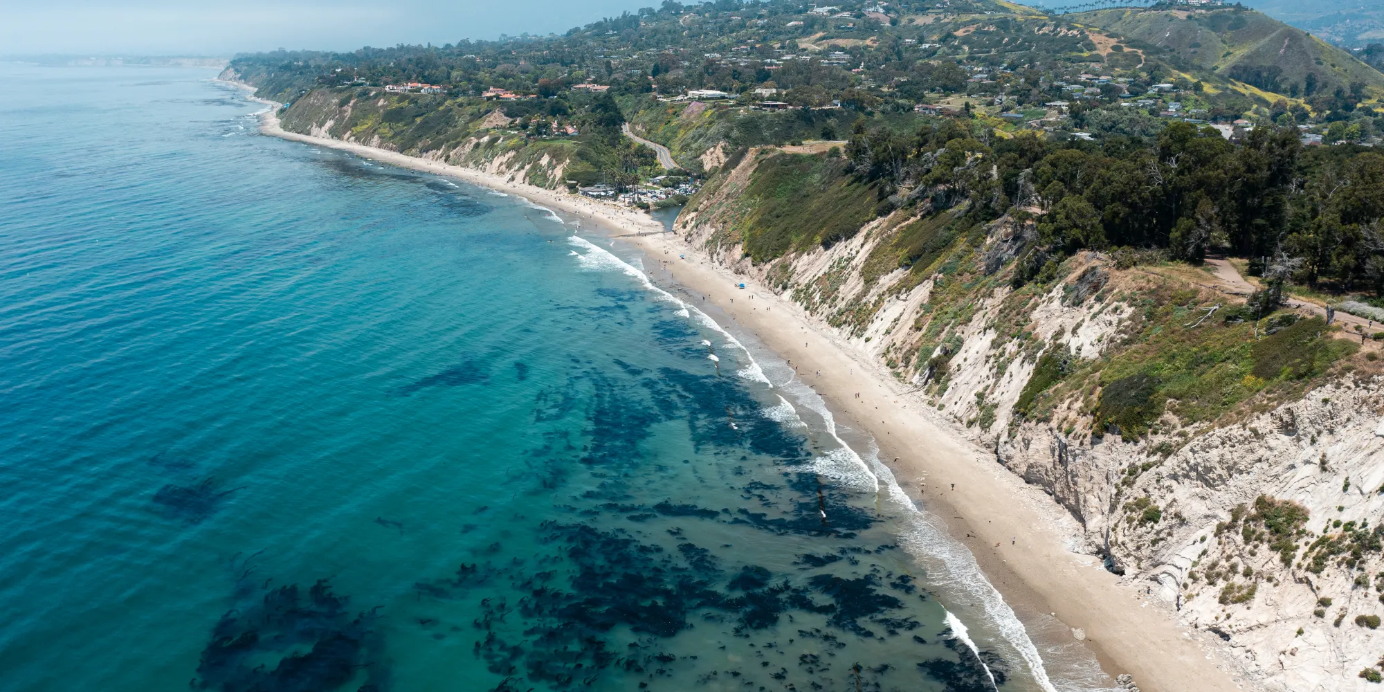 Aerial view of Douglas Family Preserve and the beach below it with beautiful blue ocean water