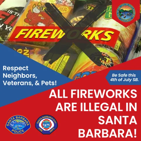 Flyer - All Fireworks Are Illegal in SB