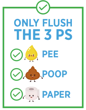 Infographic on the items for flushing: pee, poop, and paper